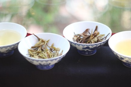 ������ �������: �� ����� �������� �� ��������� ��������