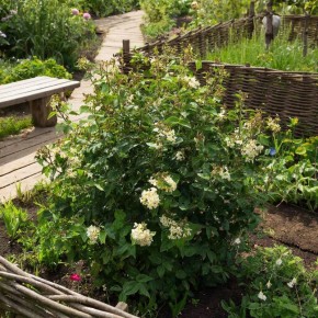 ������ ����� ������, ��� ������ ������������ ����: ����� ������ �� ������� ���������