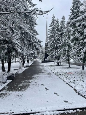 ���� �� �������: �������, ������ ����� � ����