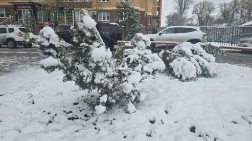 � �� ����� ����... �� ����� ��� ���-���� �������� ������ ��������� �����