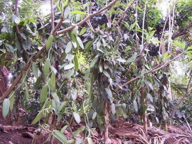 ������: ������� ������������ ����� ������� ������� � ����