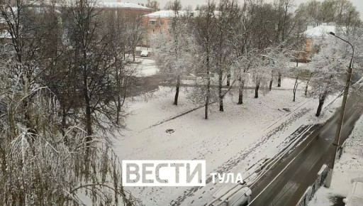 � �������� ������� �������� �������� 65 ��������: ��������� ������� � 13 �����������