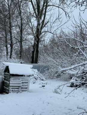 � �������� ������� ���� ������� ��������� ��-�� ����������� ���������