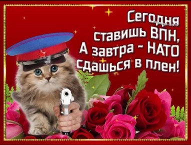 ���� ���������� ������ ����� �������