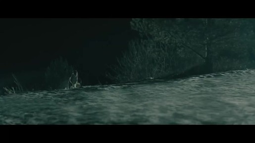 ����� ���� �� ��������: ������� �������� �� ������� ������