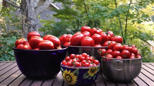 ������ organic ��������� ��� ��������� ����� �������