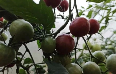 ����� ������� �� ���: ������� ���������, ����� �� � ����� ������ ���-�� ������ � �������