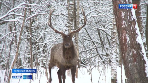 � �������� ������� ��������� ��� ��������!