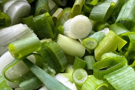 ���-����� ������ �������� ����: ��� �� ��������� �� �����