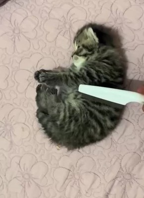 ��, ������, ����� ����� ���� ����� ����� ����, ��� �� ���������