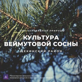 ������� ������: #������������������. �������� ���������� �����