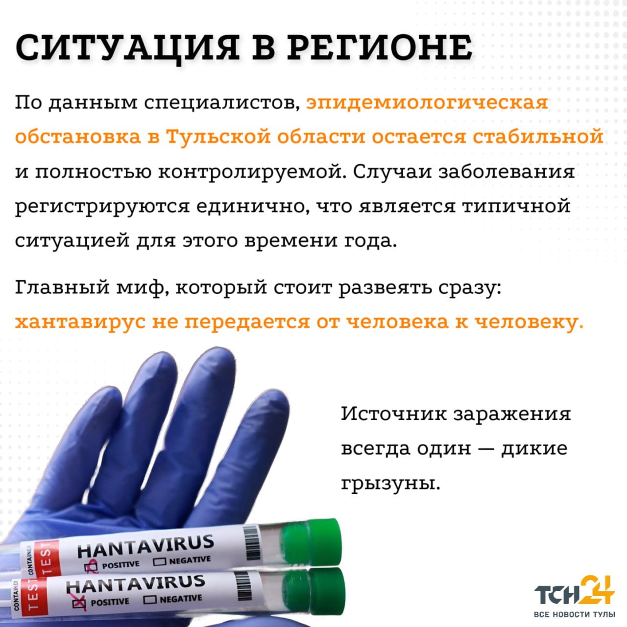 Хантавирус в Тульской области: что известно, актуальная ситуация, симптомы и меры защиты Хантавирус в Тульской области: что известно, актуальная ситуация, симптомы и меры защиты