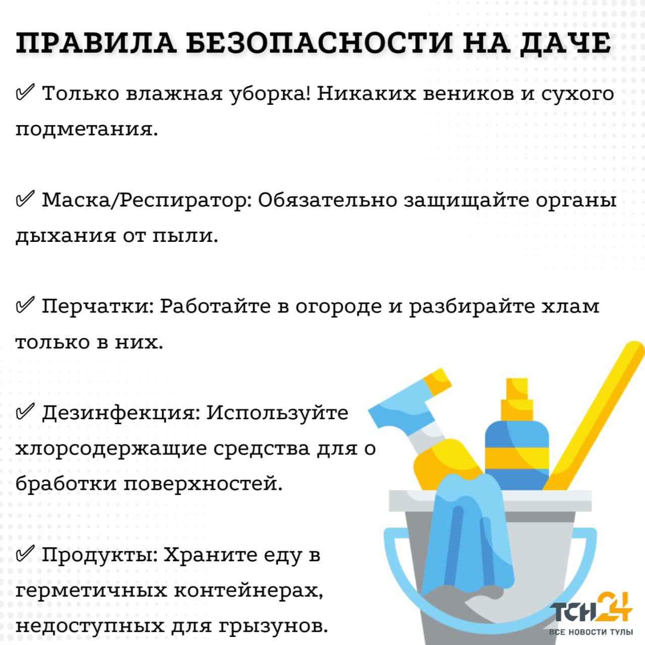Хантавирус в Тульской области: что известно, актуальная ситуация, симптомы и меры защиты Хантавирус в Тульской области: что известно, актуальная ситуация, симптомы и меры защиты