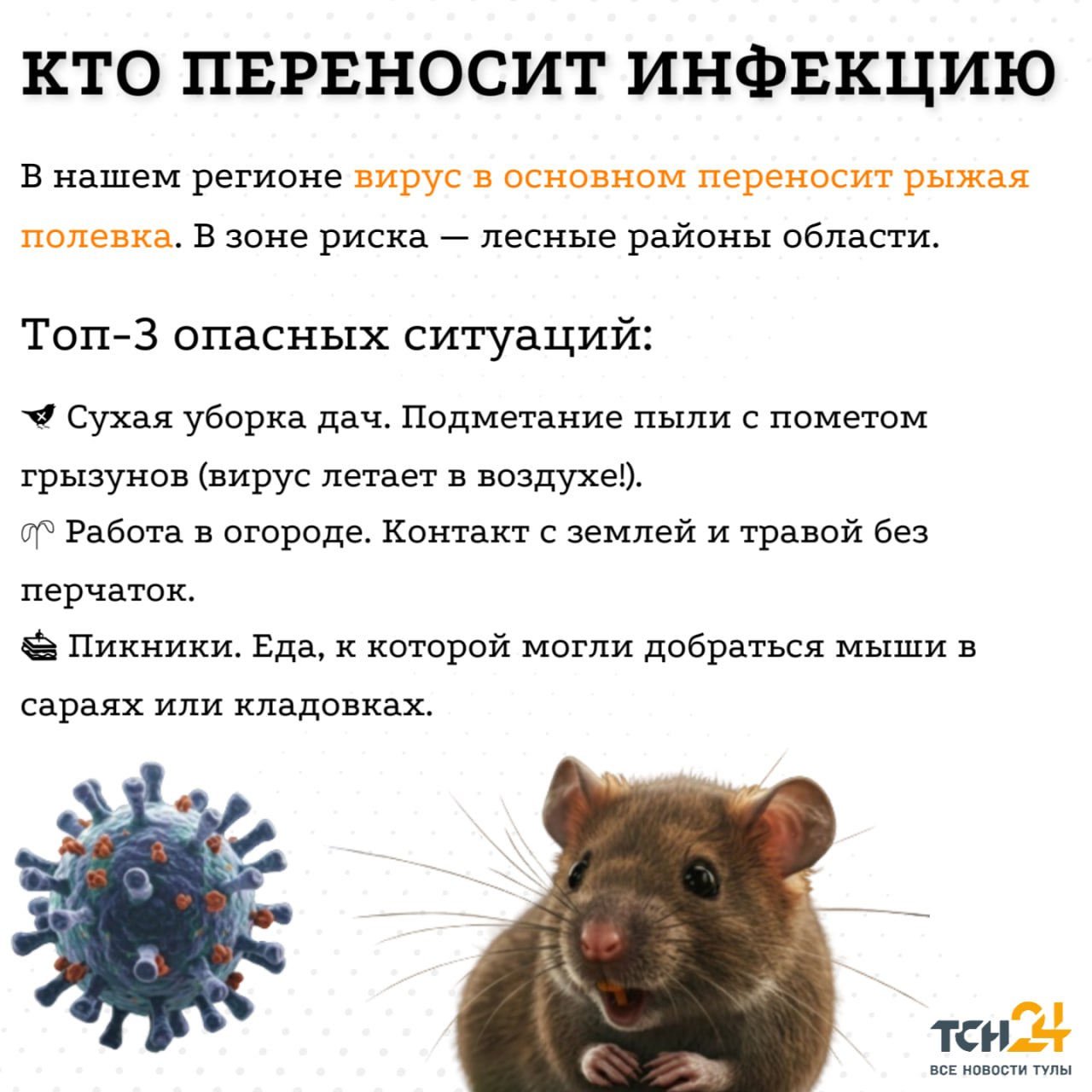 Хантавирус в Тульской области: что известно, актуальная ситуация, симптомы и меры защиты Хантавирус в Тульской области: что известно, актуальная ситуация, симптомы и меры защиты