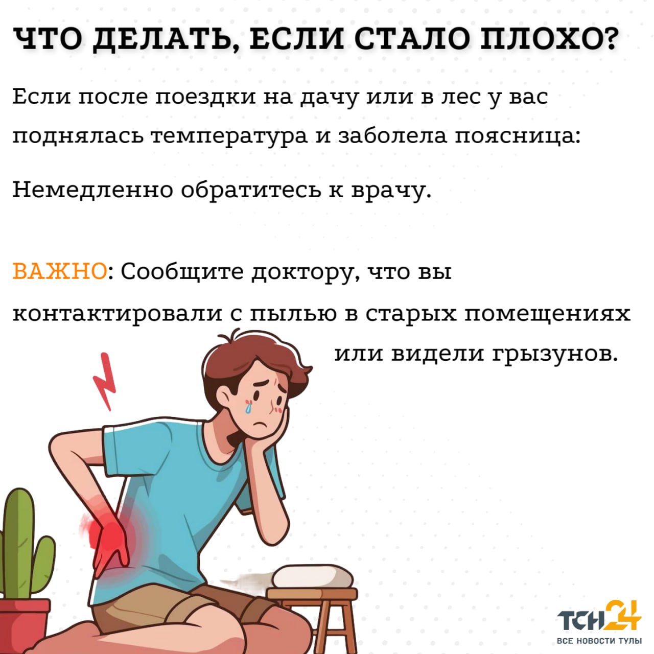 Хантавирус в Тульской области: что известно, актуальная ситуация, симптомы и меры защиты Хантавирус в Тульской области: что известно, актуальная ситуация, симптомы и меры защиты