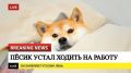 ������, ������� ��� ����������� ���� �������� ����������� ���������