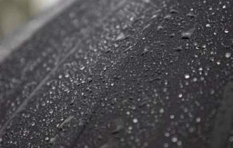 ������ �� 12 ���. ����� ��������: 04:31