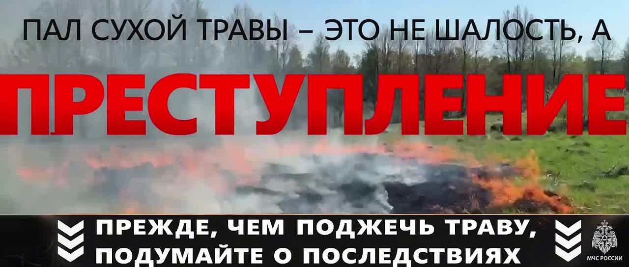 #СоветМЧС. Пал травы опасен! Пал травы — это смертельно опасное занятие
