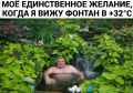 ������� ����������, ������ ������ �������� � ��������� ��������