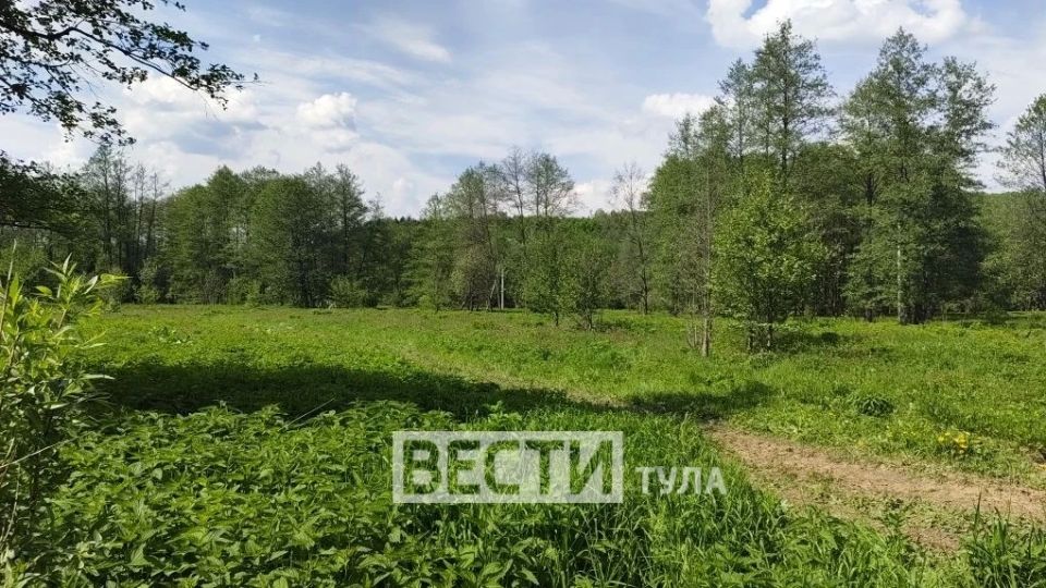 Тульские «Вести» работают на месте обнаружения пропавшей девочки в Дубне Тульские «Вести» работают на месте обнаружения пропавшей девочки в Дубне