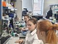 Учёные ТулГУ создадут биосенсор для ранней диагностики болезни Альцгеймера