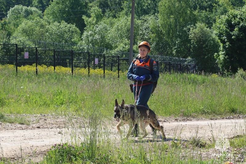 В Тульском спасательном центре прошли испытания кинологических расчётов МЧС России В Тульском спасательном центре прошли испытания кинологических расчётов МЧС России