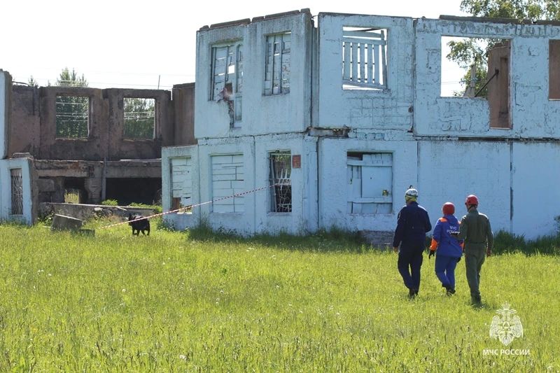 В Тульском спасательном центре прошли испытания кинологических расчётов МЧС России В Тульском спасательном центре прошли испытания кинологических расчётов МЧС России
