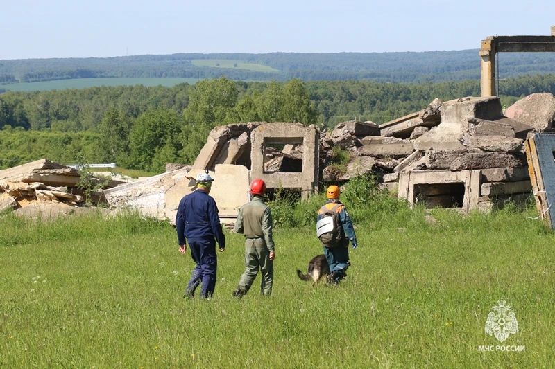 В Тульском спасательном центре прошли испытания кинологических расчётов МЧС России В Тульском спасательном центре прошли испытания кинологических расчётов МЧС России