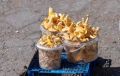 По данным Роспотребнадзора, в России ежегодно фиксируют более 1000 отравлений грибами, около 30 из которых летальны