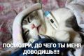 ����� � ���������� �������� ������� ����� ��������