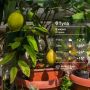 ������ ����. ������� ����� �����: ������ ���������� �� +26�