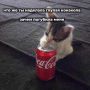 ���������� ������������ ���� �������� ���� �������� ���� ������ � 2 ����