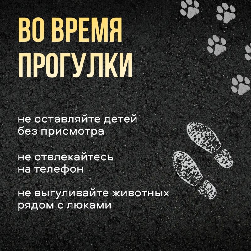 Опасность под ногами. Открытые люки представляют серьёзную угрозу для жизни и здоровья Опасность под ногами. Открытые люки представляют серьёзную угрозу для жизни и здоровья