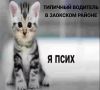14 жителей Заокского района лишили водительских прав из-за расстройств психики