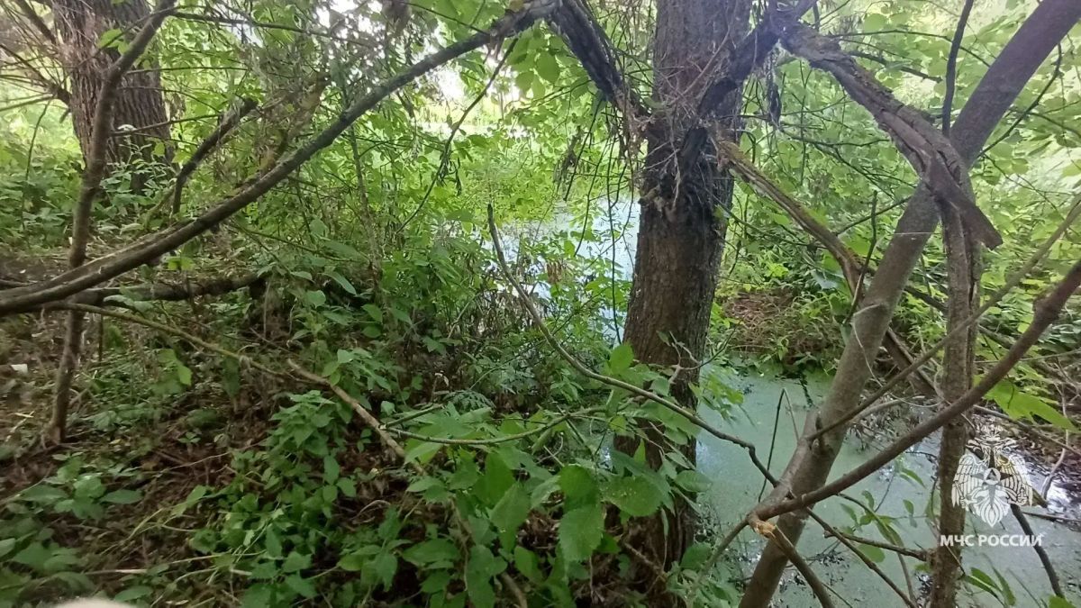 В реке Красивая меча нашли тело пенсионерки