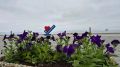 ����� ����� ���������� ��������� �������� ��������� �����