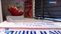 Многодетная мама из Тулы стала первой вице-миссис России