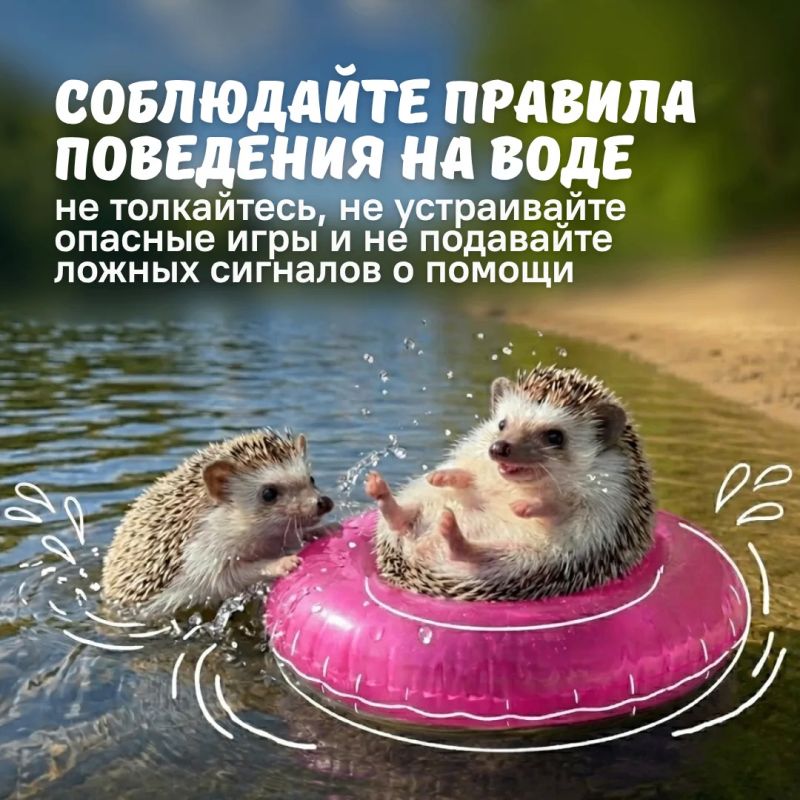 Лето у воды должно быть безопасным для всей семьи Лето у воды должно быть безопасным для всей семьи