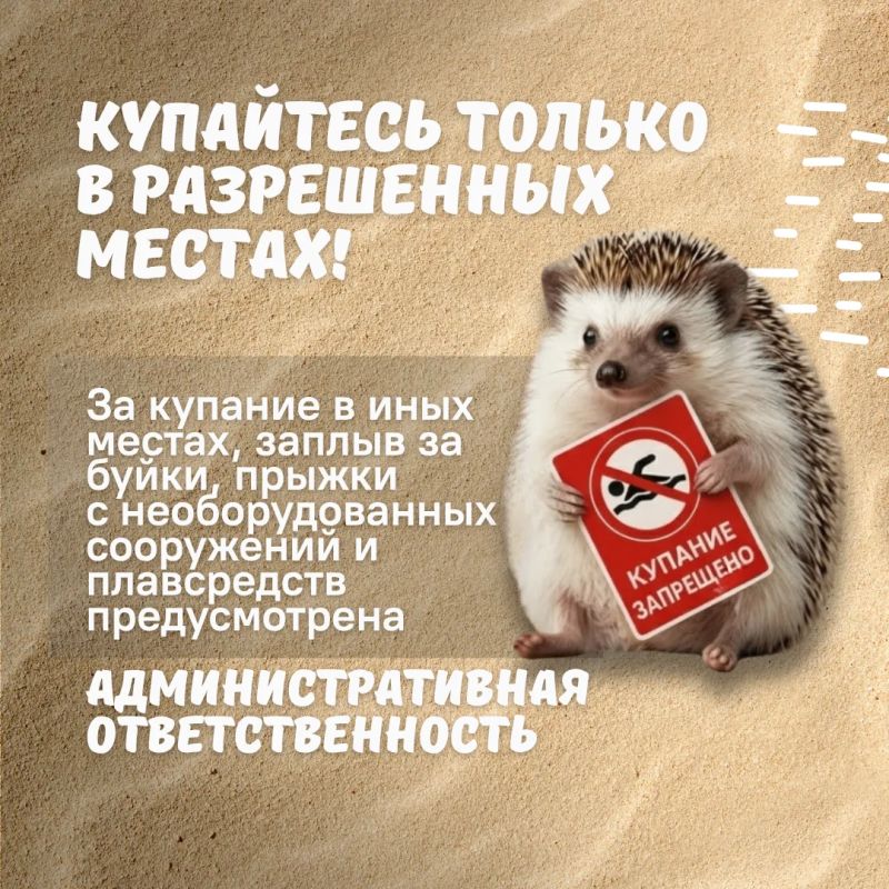 Лето у воды должно быть безопасным для всей семьи Лето у воды должно быть безопасным для всей семьи
