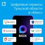 Все цифровые сервисы Тульской области — в одном боте MAX