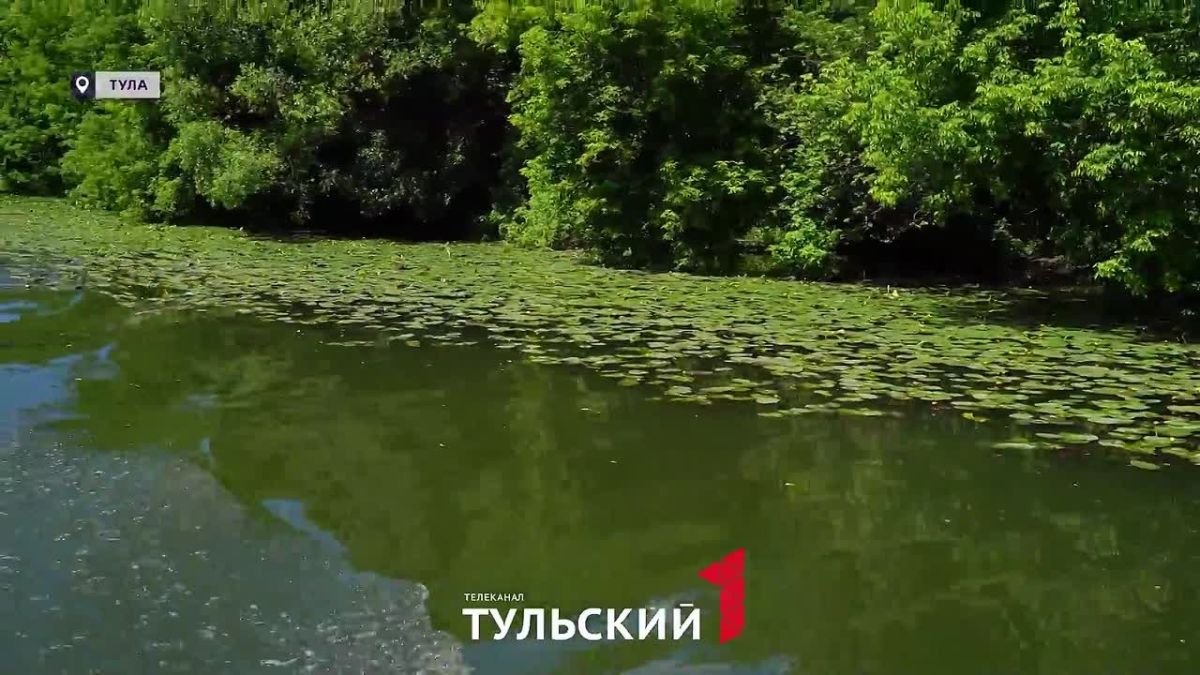 По Туле запустили водные экскурсии на речном трамвайчике
