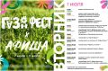 Фестивали, лекция по психологии, роспись футболок и велоэкскурсия: что будет на ГАЗОН.ФЕСТ на этой неделе