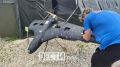 Это части ракет и вражеских дронов «Чайка», «Чаклун» и «Лютый», сбитые нашими защитниками в небе над Тулой
