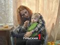 Как тульским семьям с детьми вернуть заплаченные налоги с зарплаты