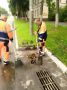 �� ������ ���� ��������� ��������� �����������
