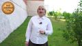 � ������ ������� ���� ������� ���� ������� �������� ��������� ���� ����� ������ ���������� ��� ��������� ����������