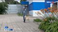Чуткий нос, тонкий слух и сообразительность - еще не все
