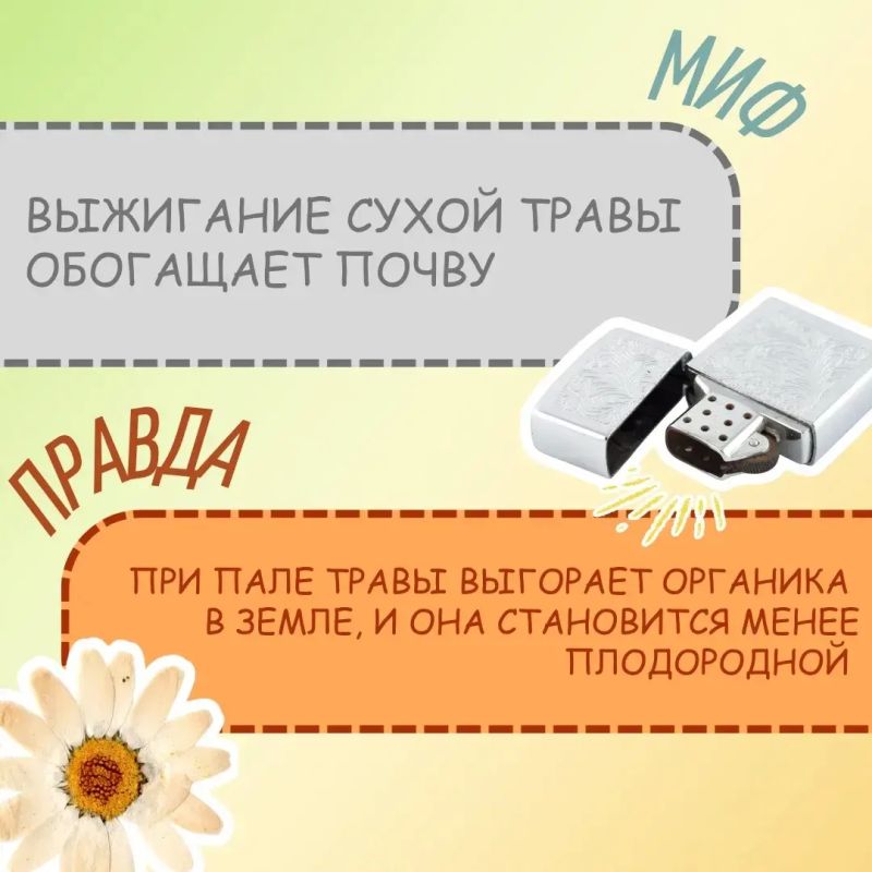 Да само потухнет…. На самом деле это один из самых опасных мифов Да само потухнет…. На самом деле это один из самых опасных мифов