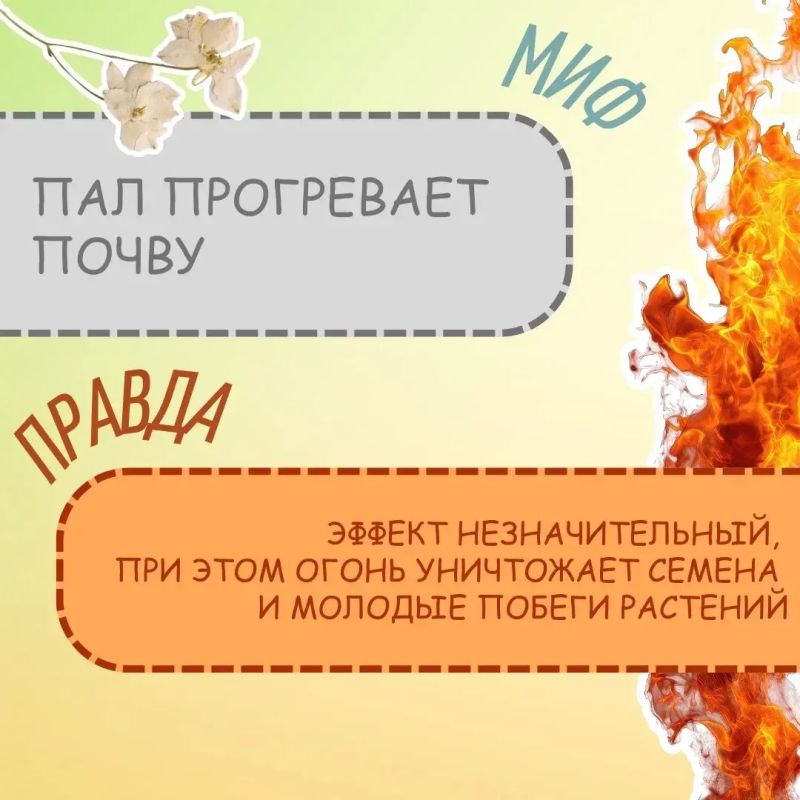Да само потухнет…. На самом деле это один из самых опасных мифов Да само потухнет…. На самом деле это один из самых опасных мифов