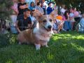 Сотни лайков, сторис и публикаций обеспечены этим звездам подиума
